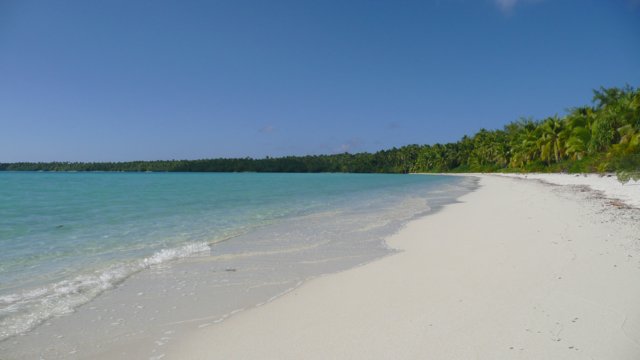p1040442.jpg