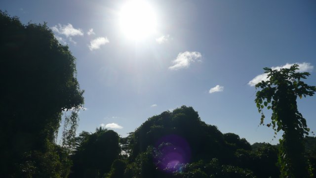 p1050010.jpg