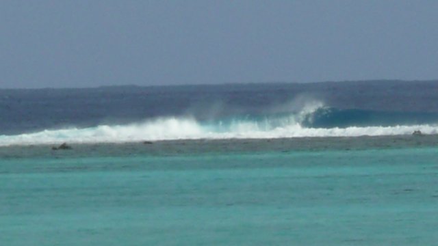p1050355.jpg
